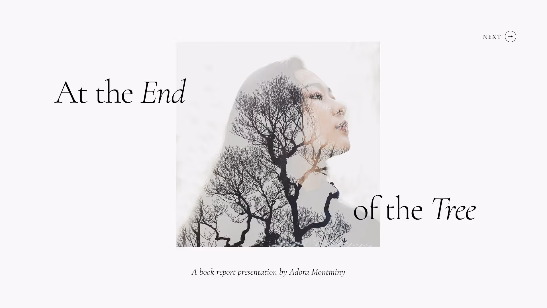 White Tree Light Minimalist Book Review Presentation