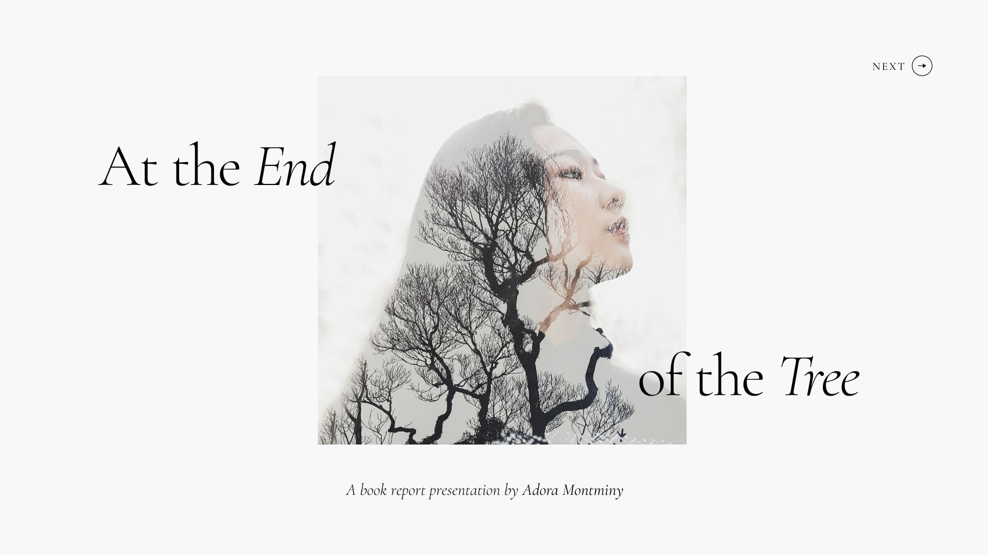 White Tree Light Minimalist Book Review Presentation