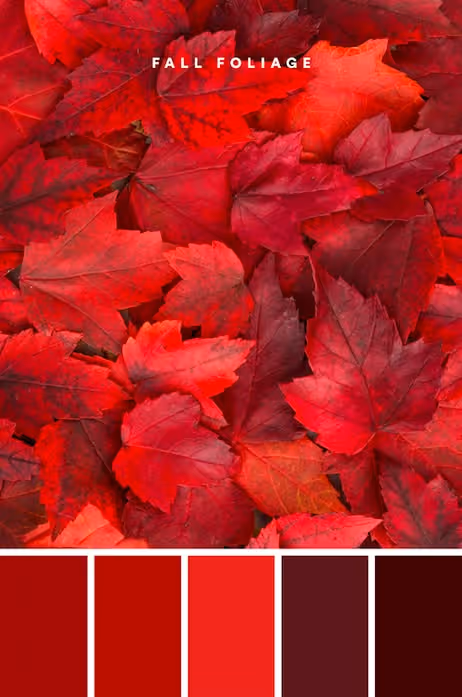 Red Color Psychology