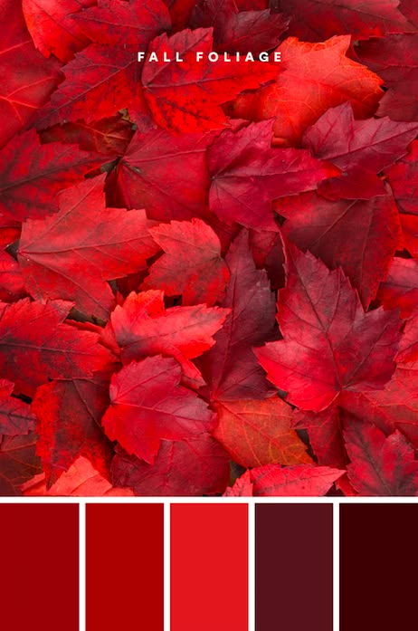 Red Color Psychology