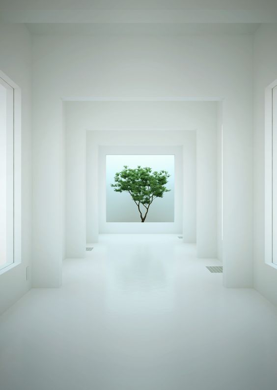 White Space to Draw Focus and Attention