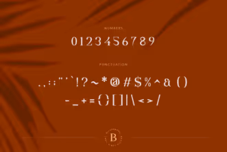 Bilderberg Beauty Serif Font