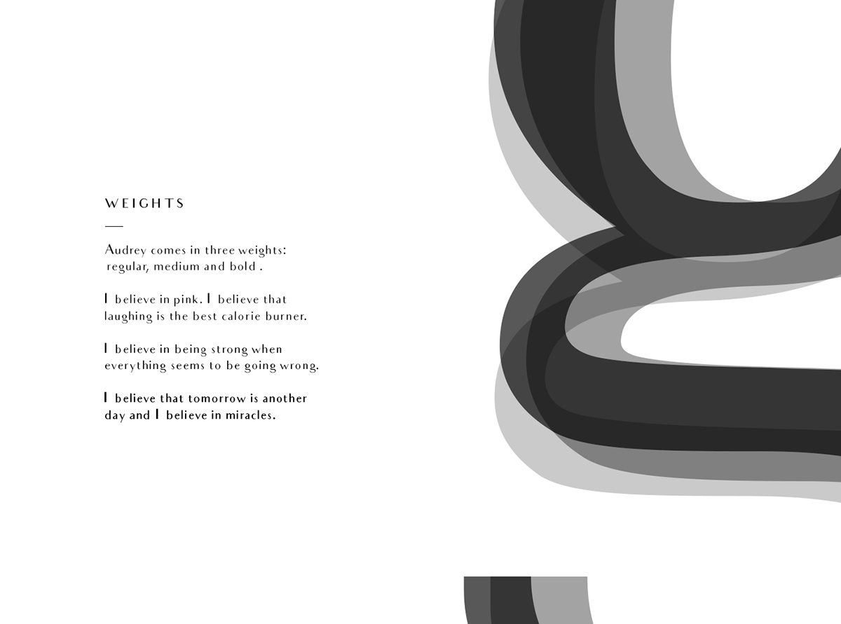 Bilderberg Beauty Serif Font