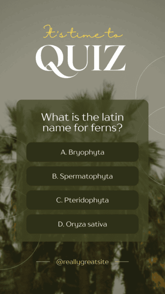 Quizzes for Instagram Story Ideas