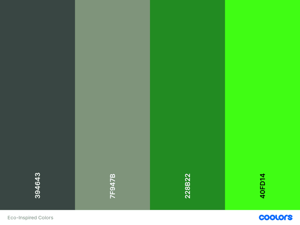Eco-Inspired Colors