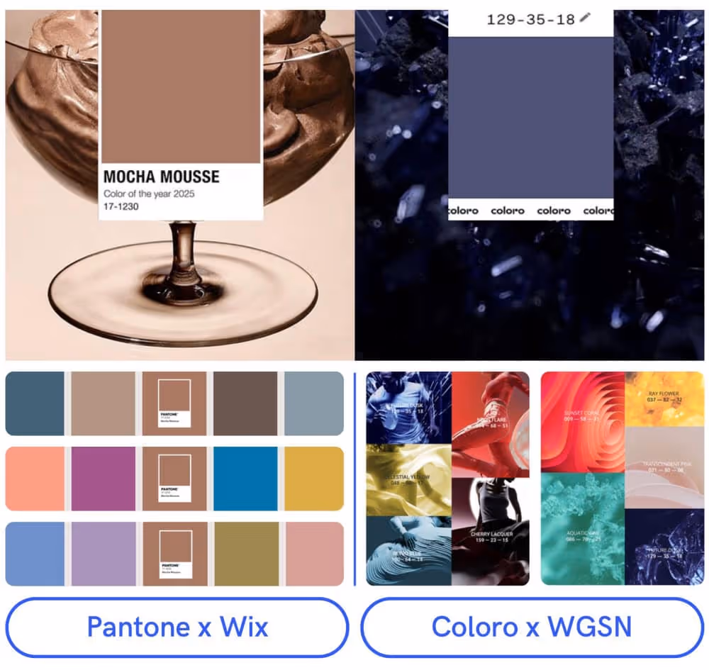 Pantone vs. Coloro for Web Design