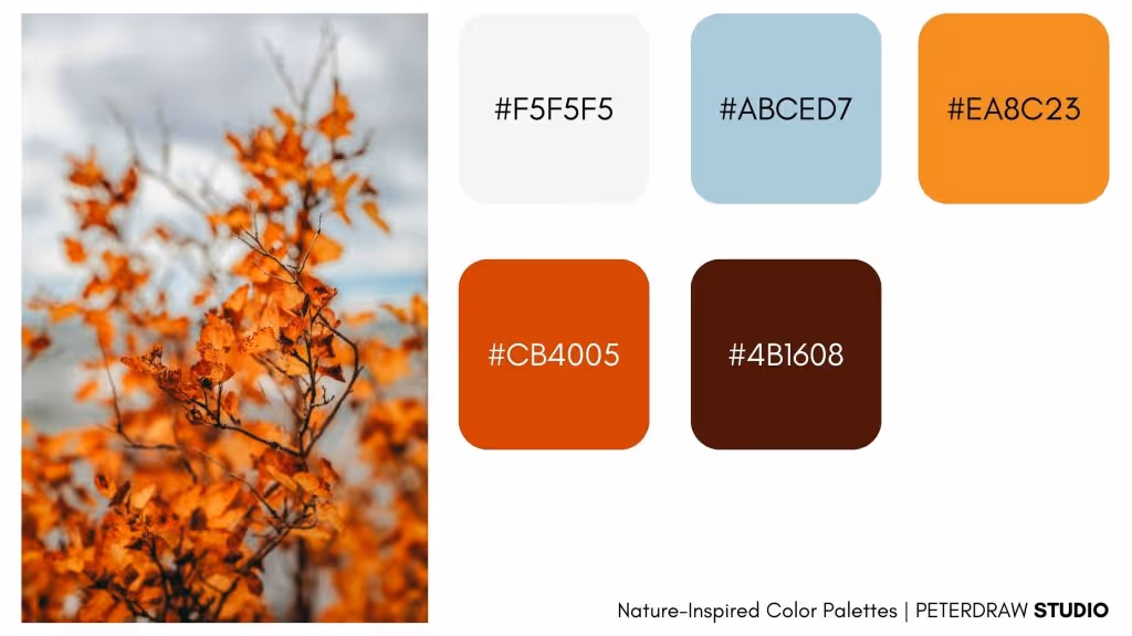 Nature-Inspired Color Palettes-Autumn Warn Embrace