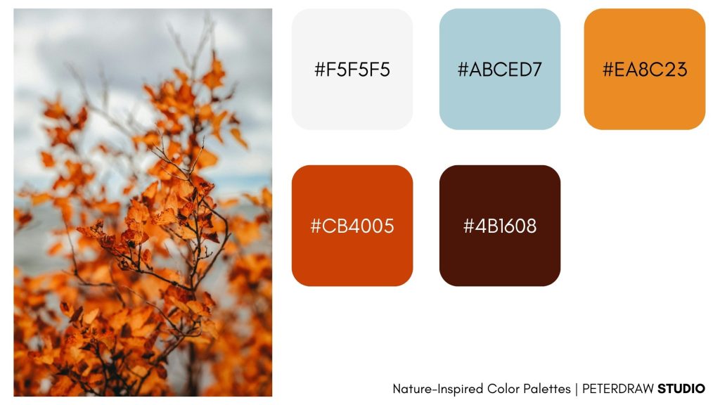 Nature-Inspired Color Palettes-Autumn Warn Embrace