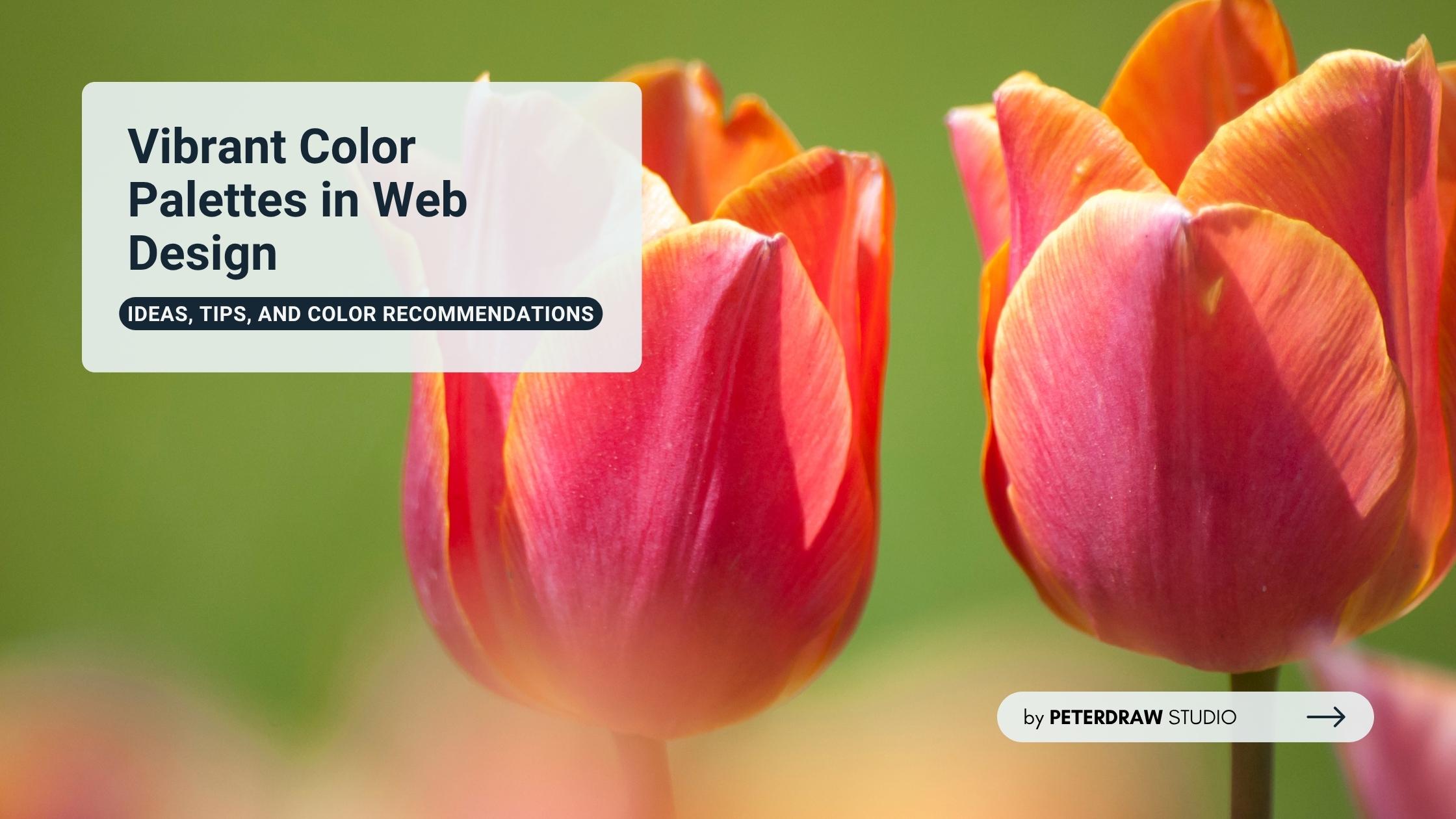 Vibrant Color Palettes in Web Design: Ideas, Tips, and Color Recommendations