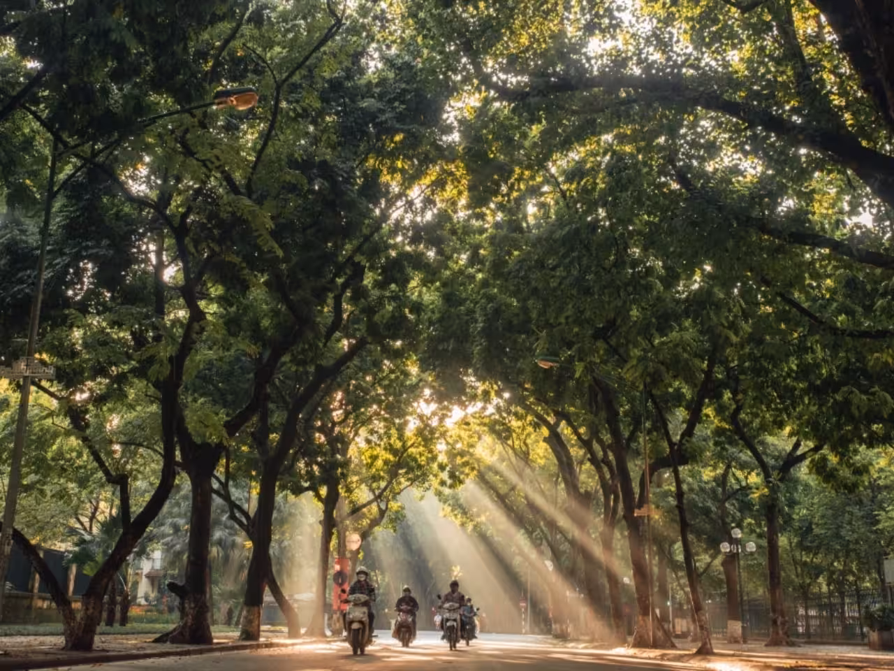 Hanoi autumn