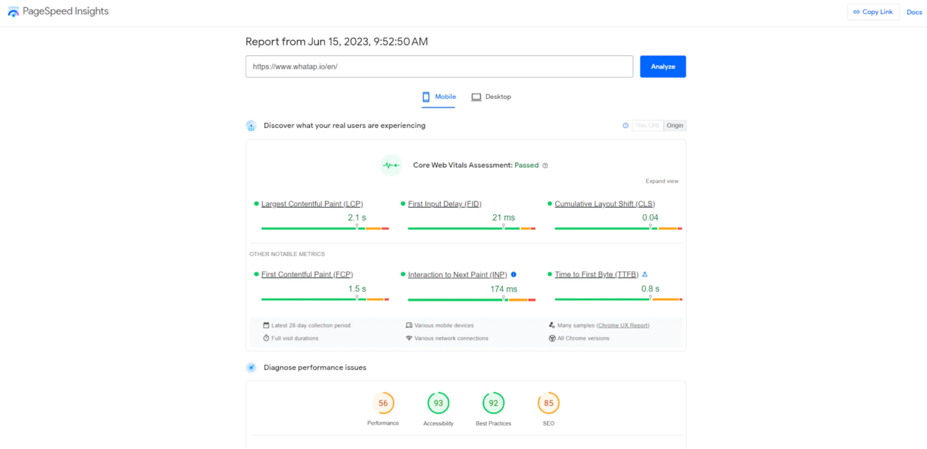 PageSpeed Insights