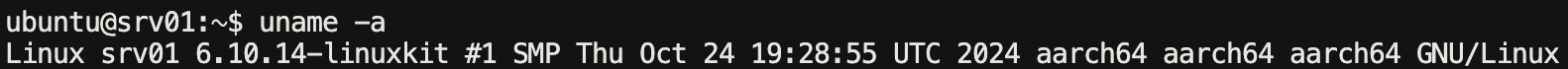 uname -a 명령어 실행 결과 화면