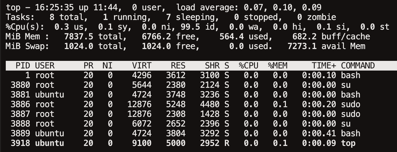 top 명령어 실행 화면 - 헤더, Tasks, CPU 사용률, 프로세스 목록