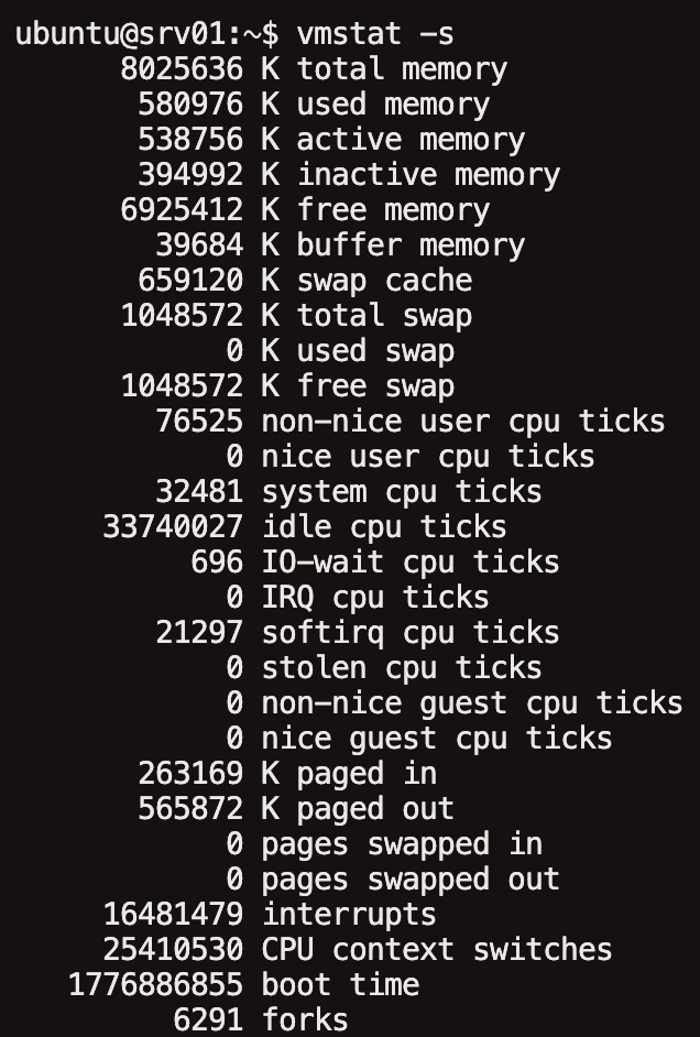 vmstat -s 명령어로 메모리 통계를 요약한 결과