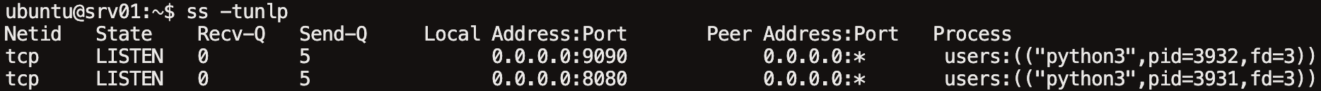 ss 명령어로 소켓 연결 상태를 확인한 결과