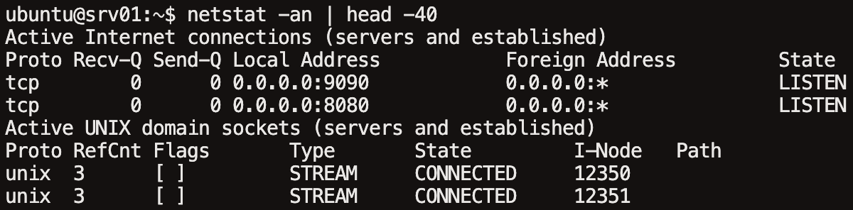 netstat 명령어로 네트워크 연결 상태를 확인한 결과 (레거시)