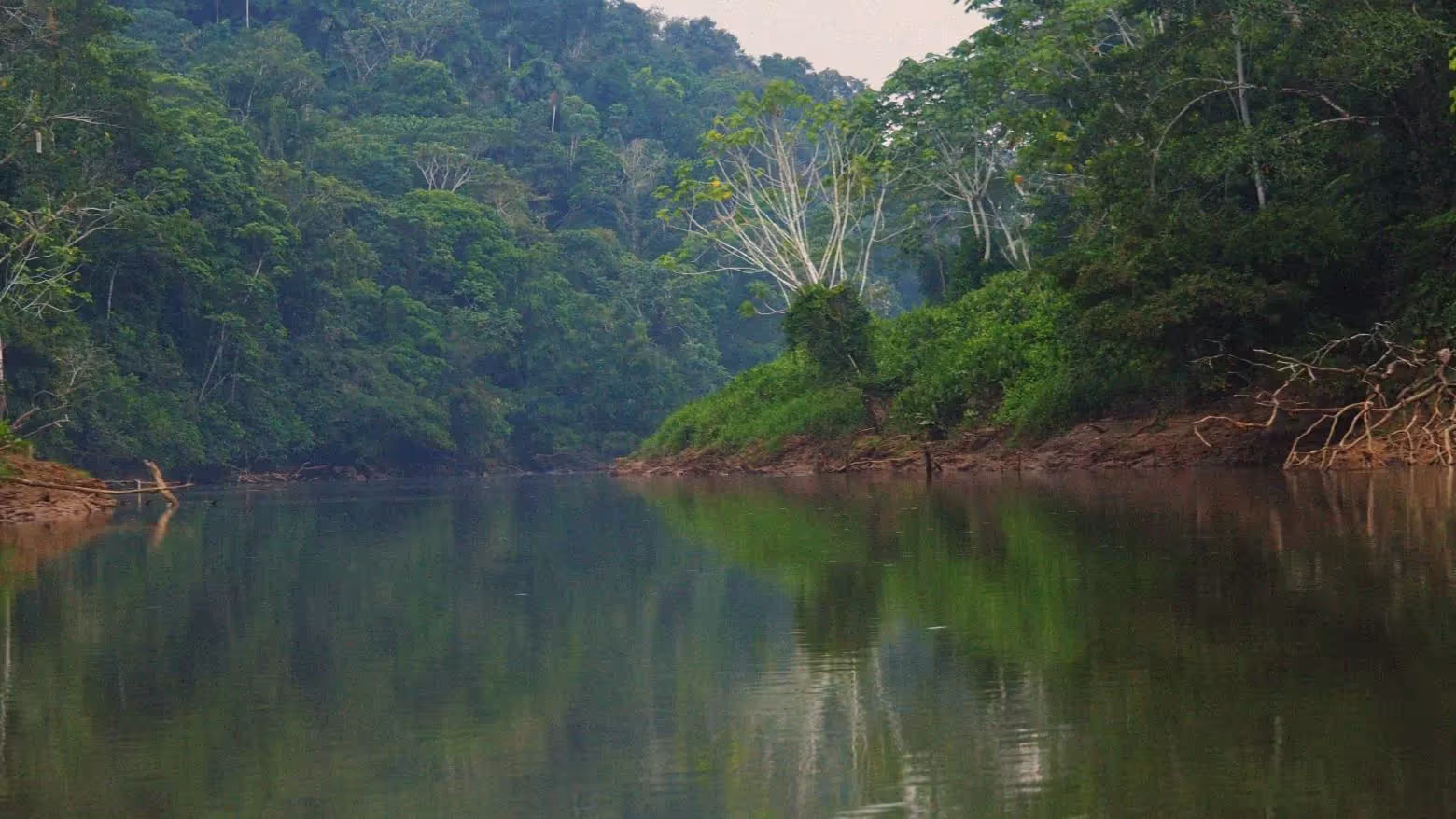 DORMIR LÀ OÙ LA JUNGLE VEILLE