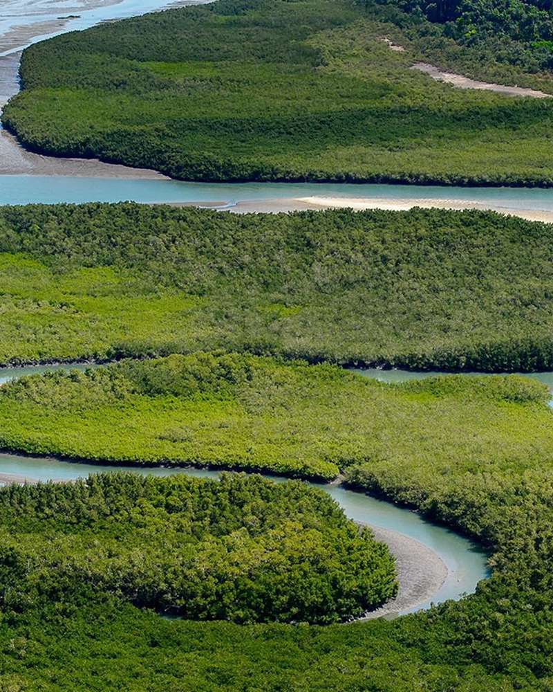 Carte des destinations Le Therapist à travers le monde