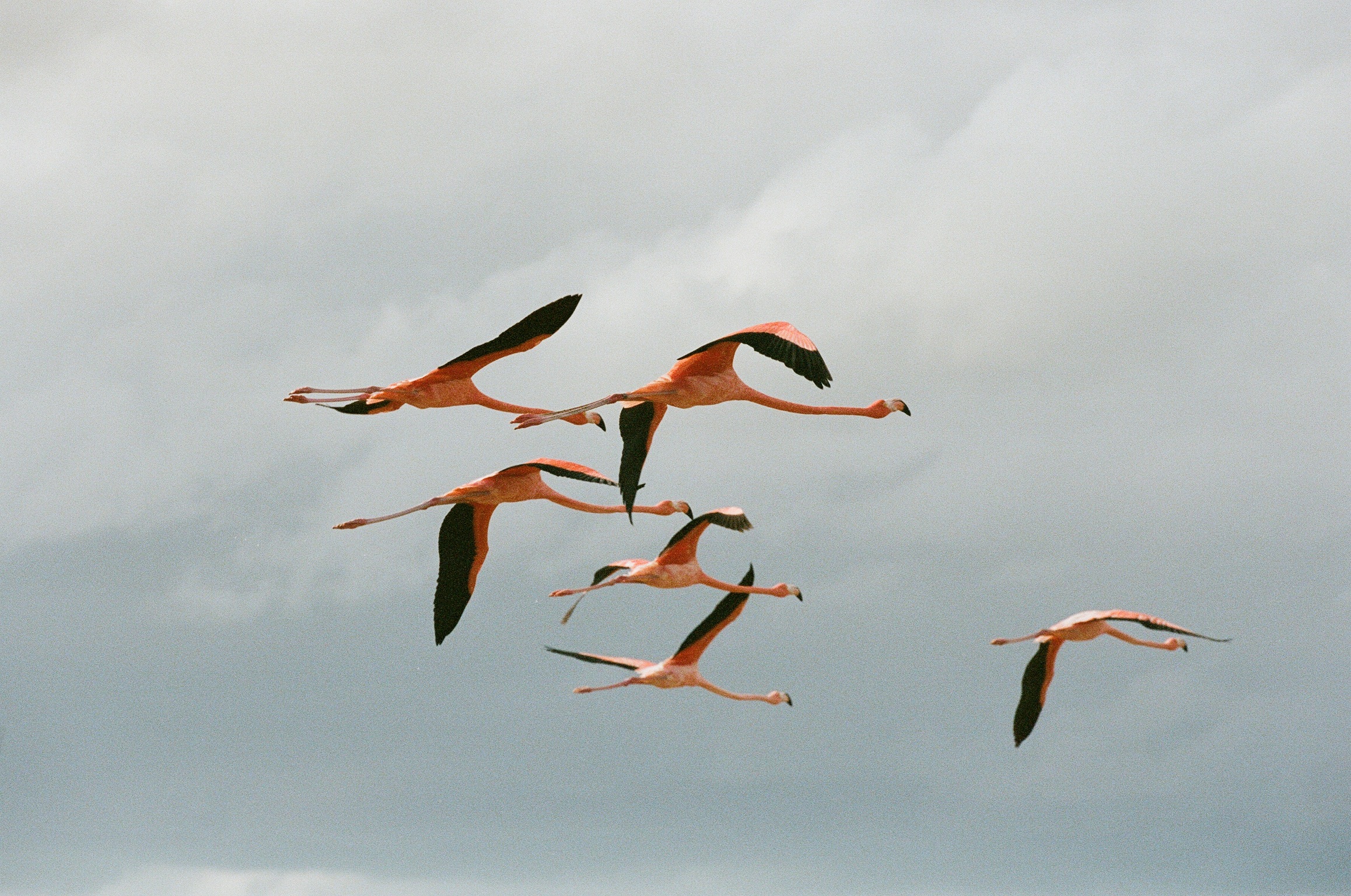 Afrique du Sud Le Therapist - 8