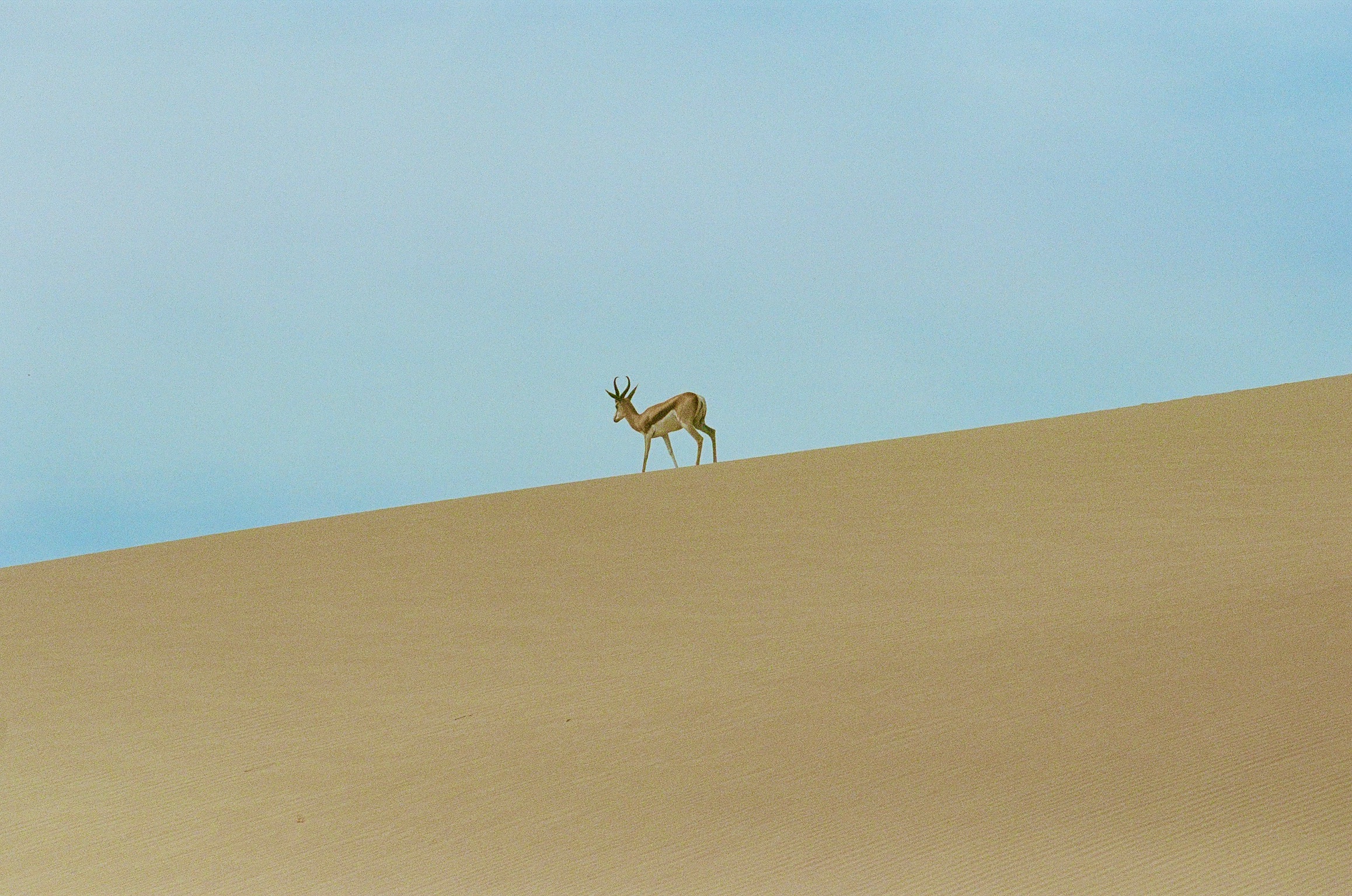 Zimbabwe Le Therapist - 2