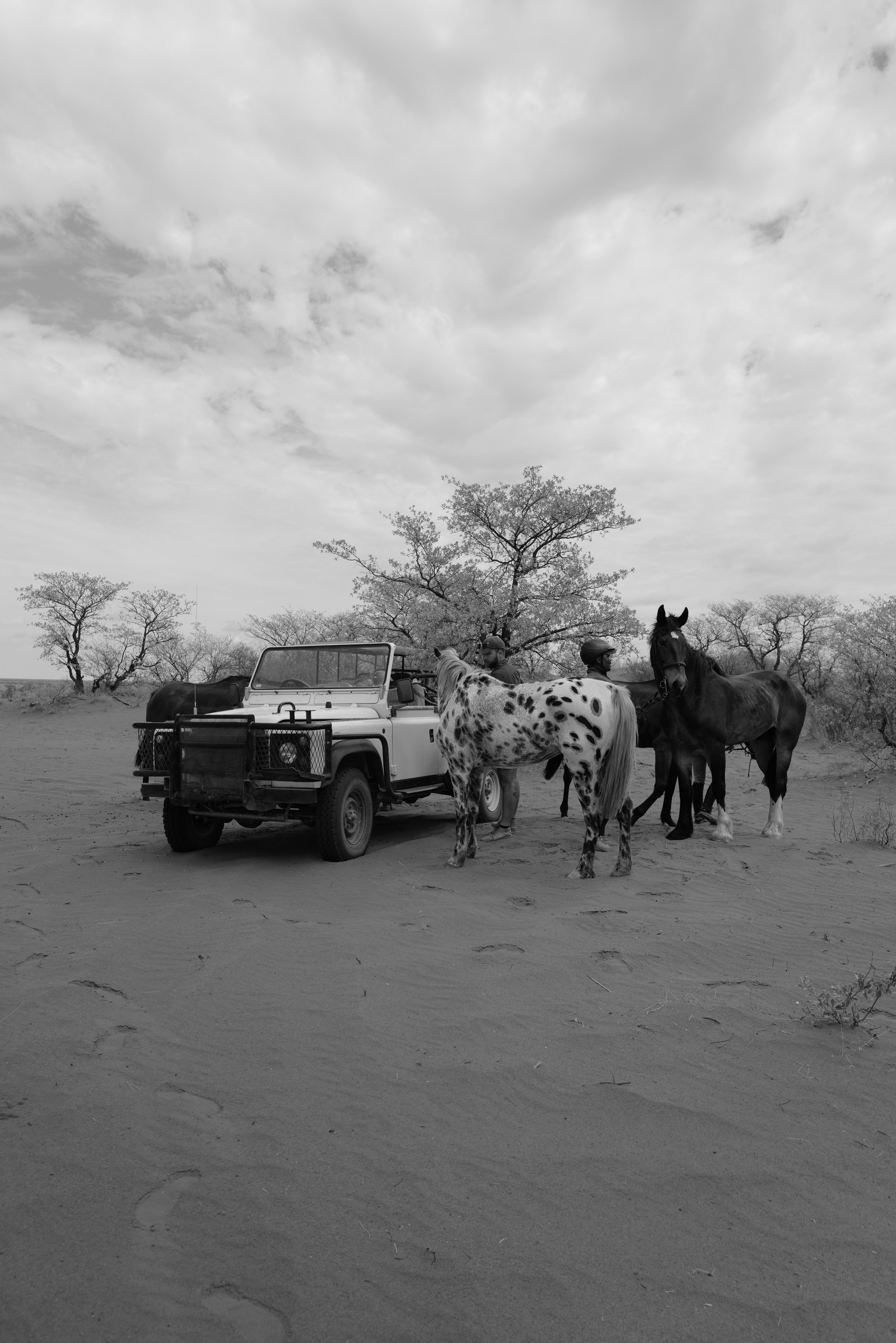 La solitude choisie, paysage voyage Le Therapist