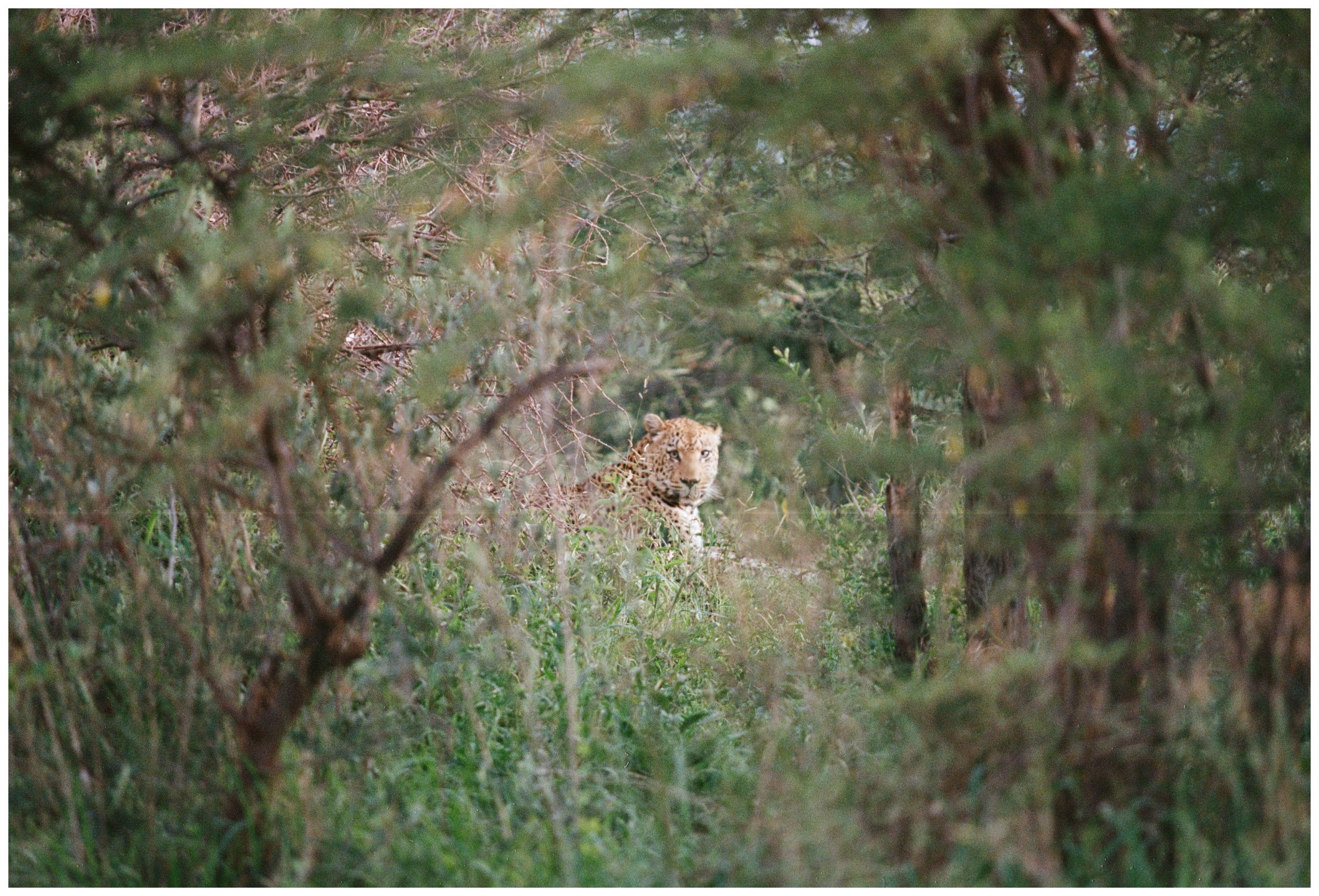 Botswana Le Therapist - 4