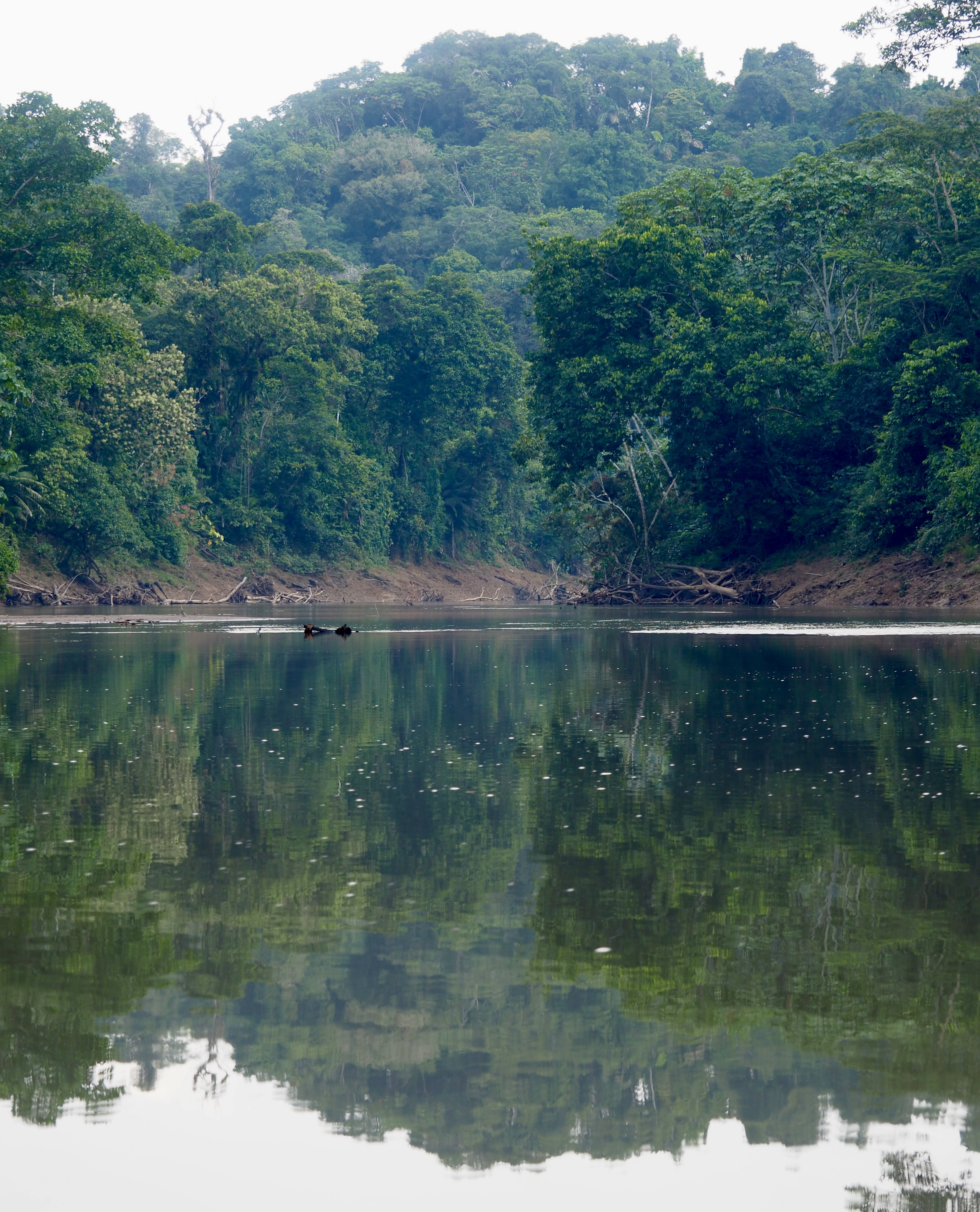 Carte des destinations Le Therapist à travers le monde