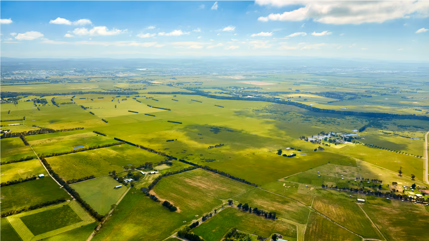 A green pasture