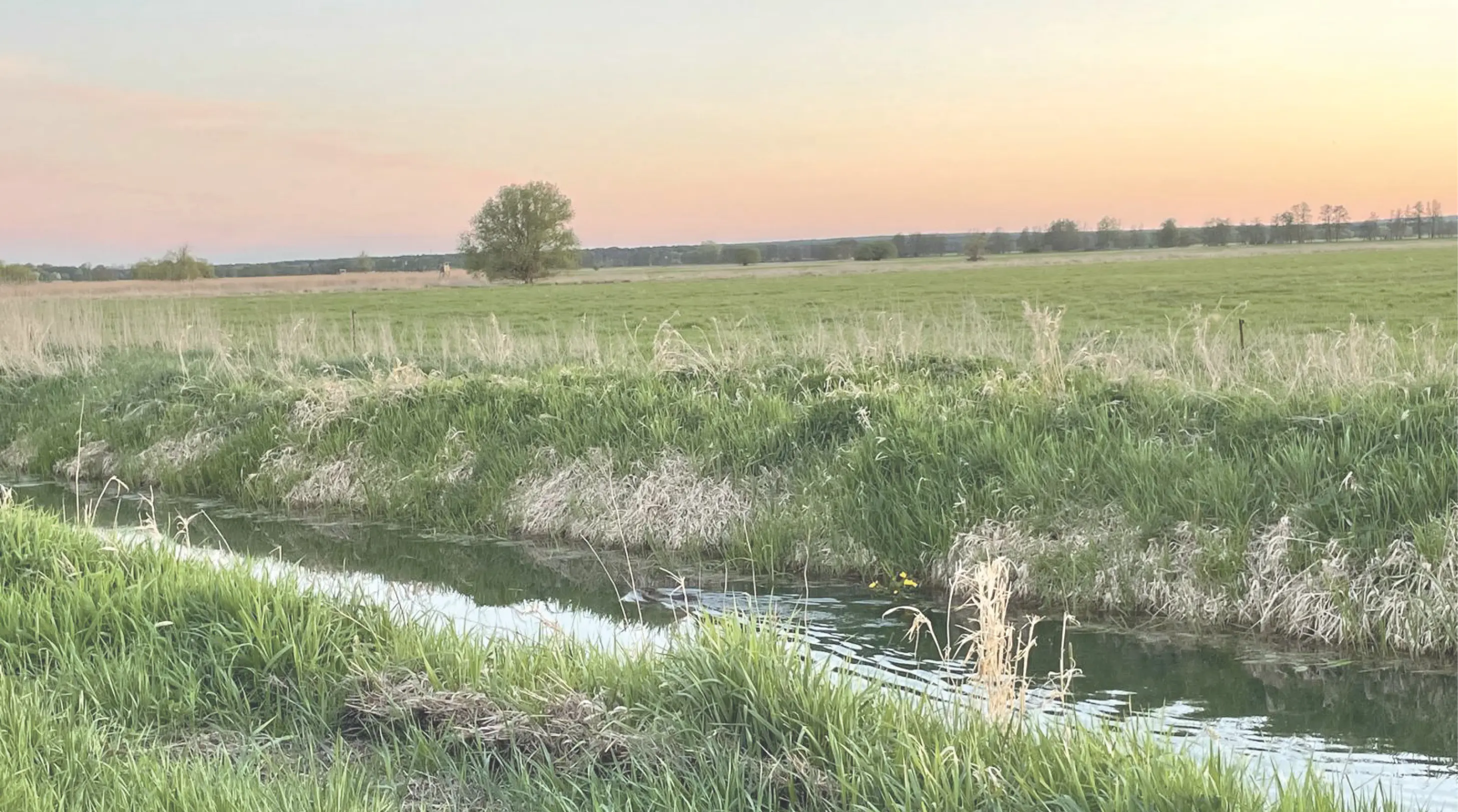 Umgebung des KulturHaus Locktow. Fluss, Felder, Sonnenuntergang