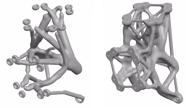 Automated Prost processing of raw Topology Optimization Output