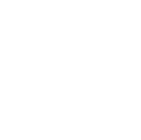 icon tiktok