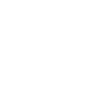 icon facebook