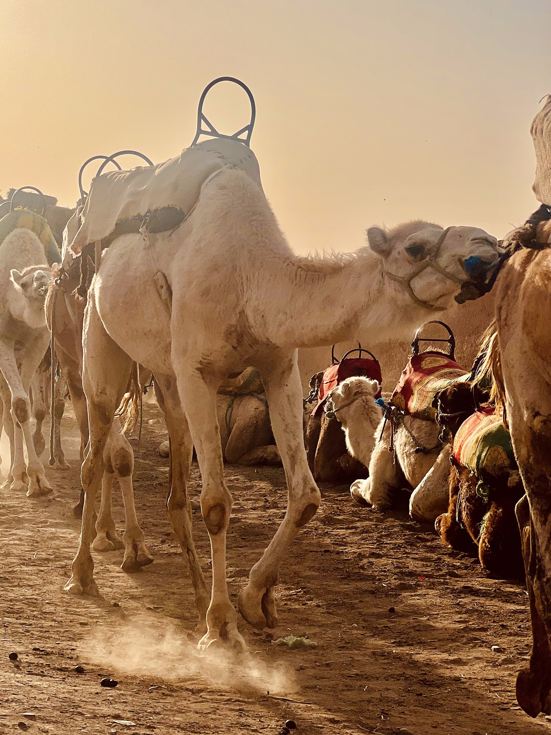 Morocco