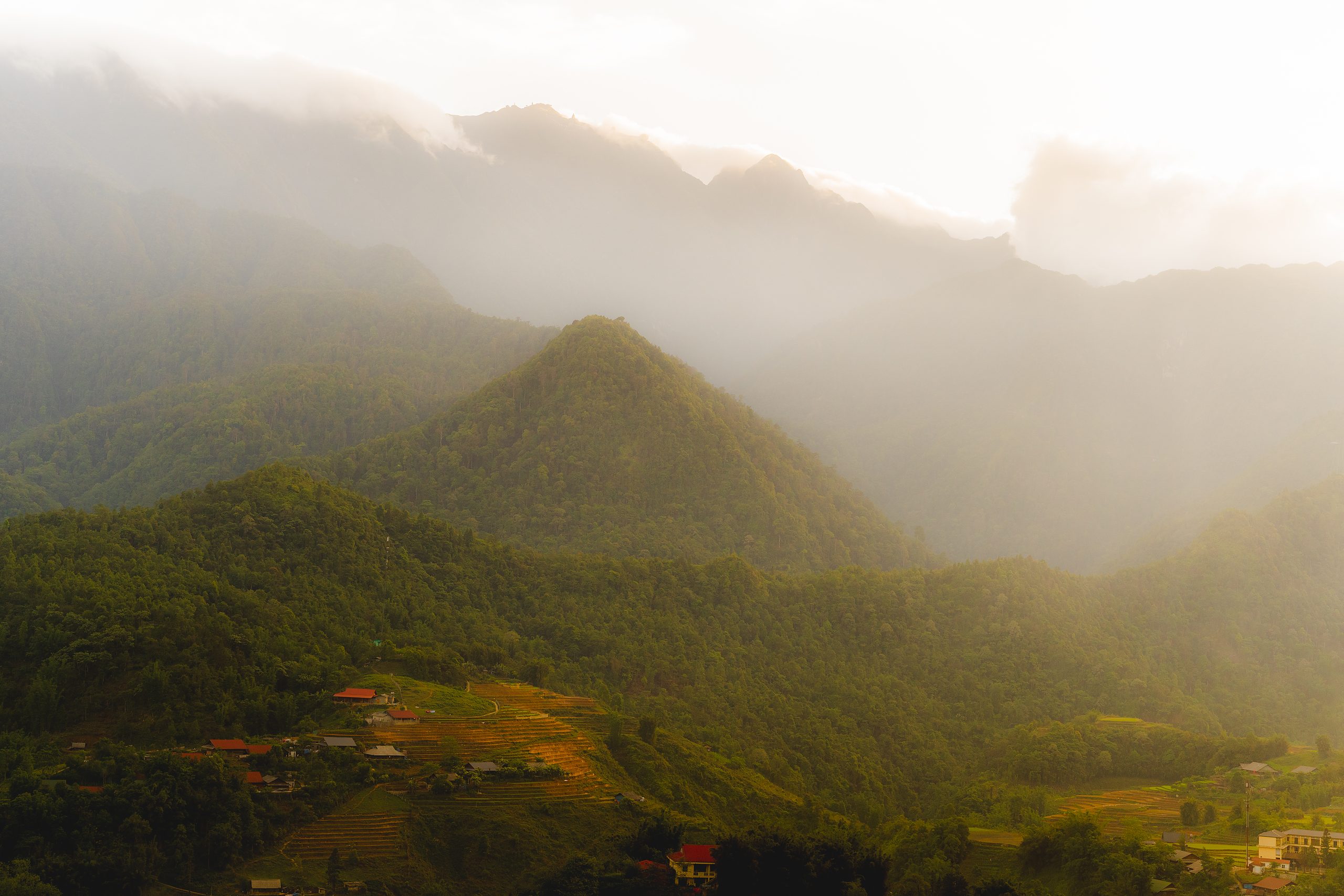 Vietnam