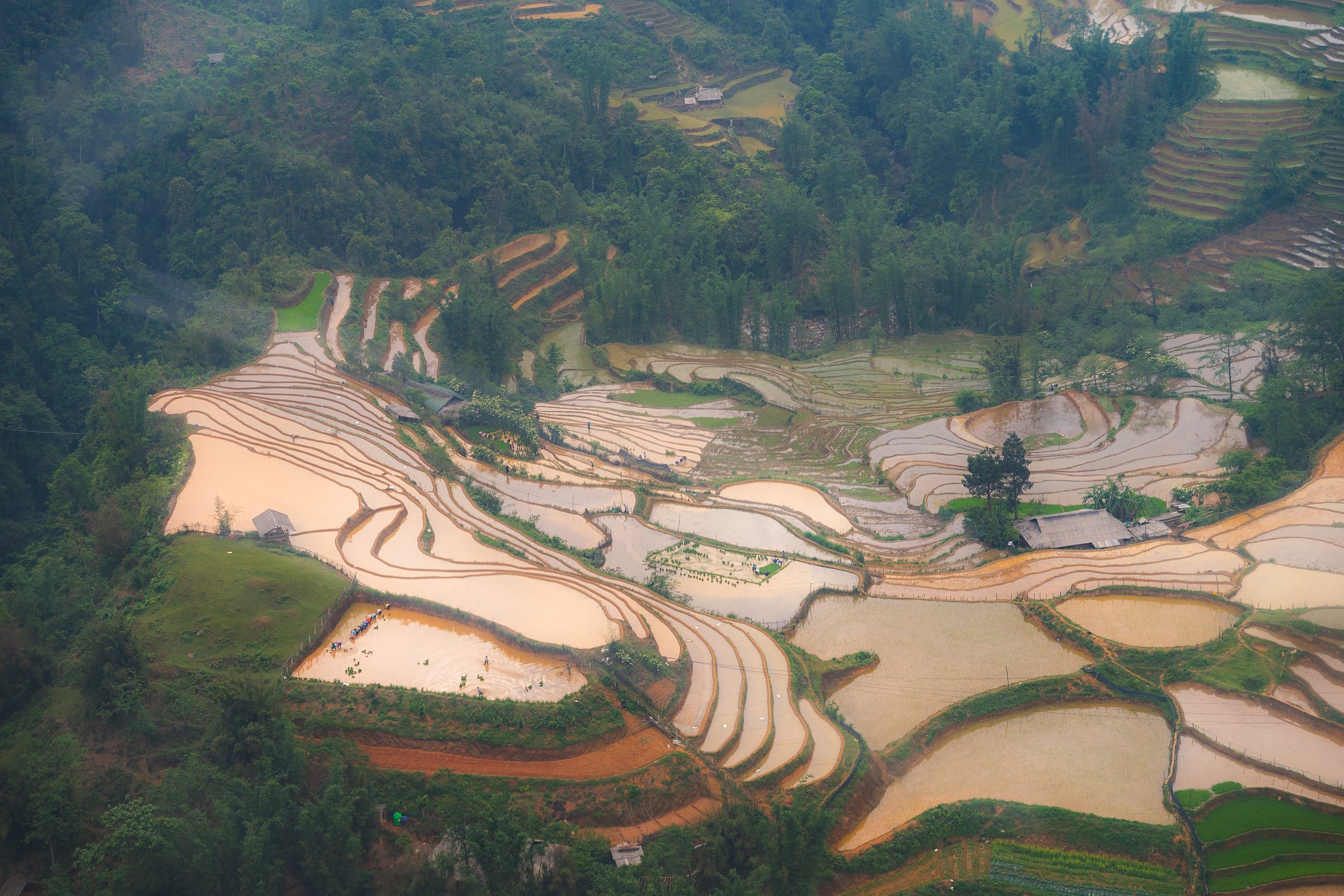 Vietnam