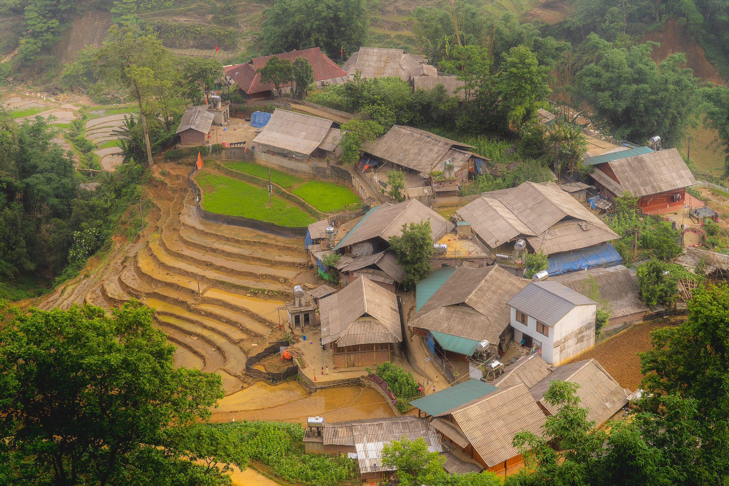 Vietnam