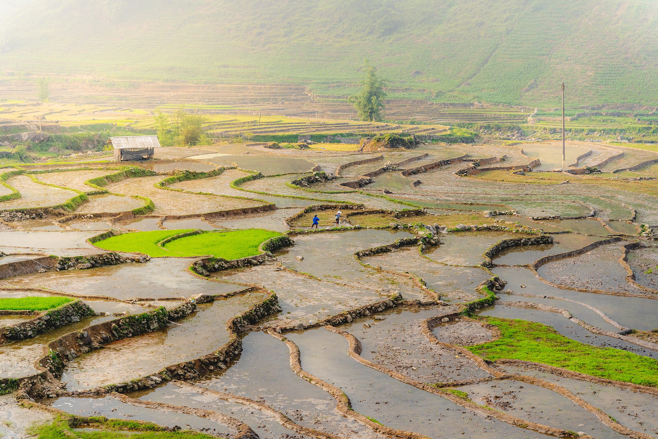 Vietnam