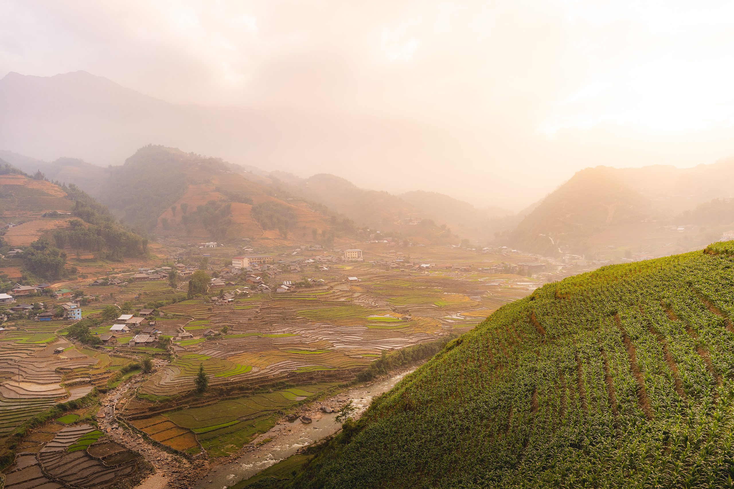 Vietnam