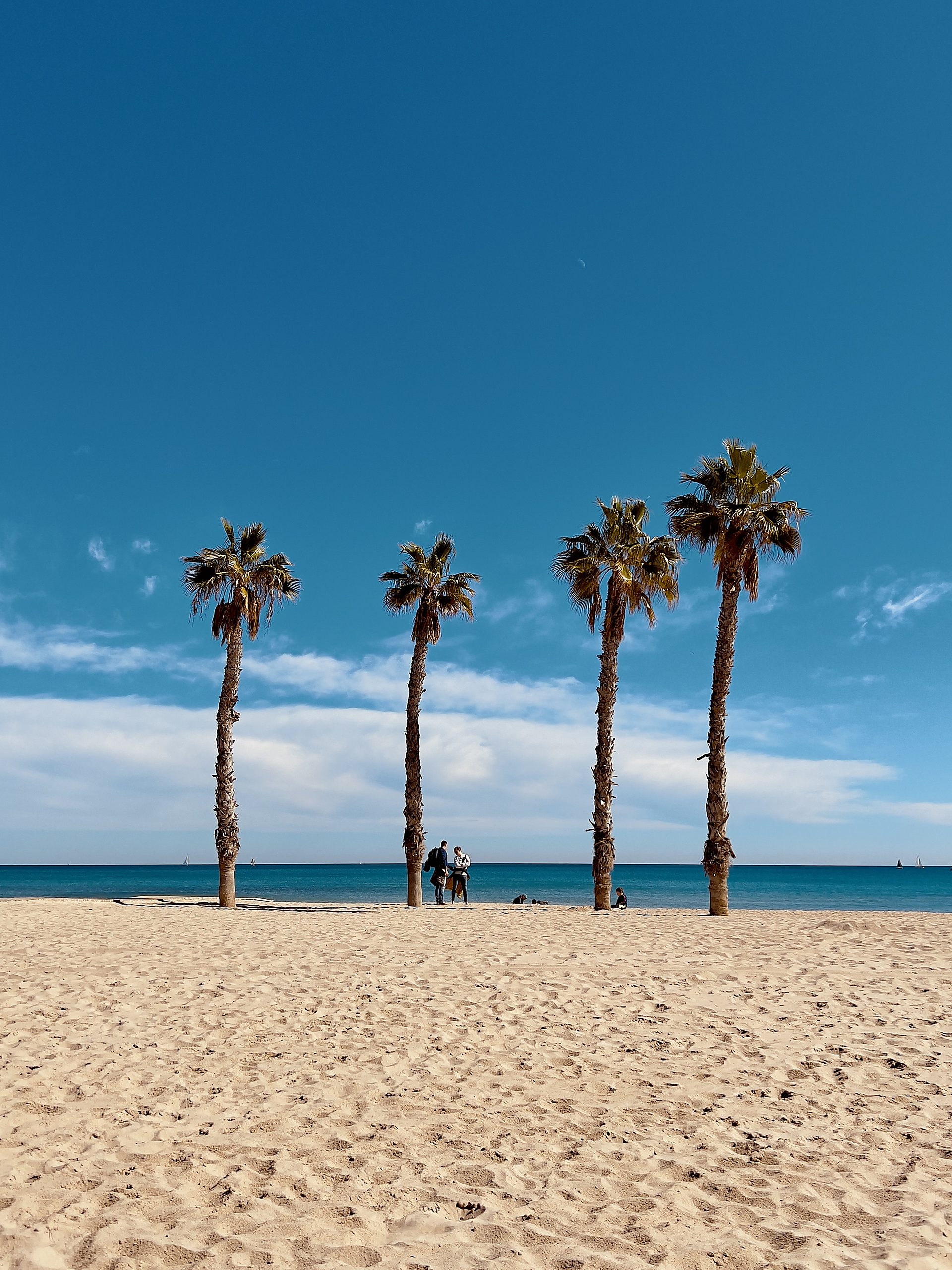 Alicante