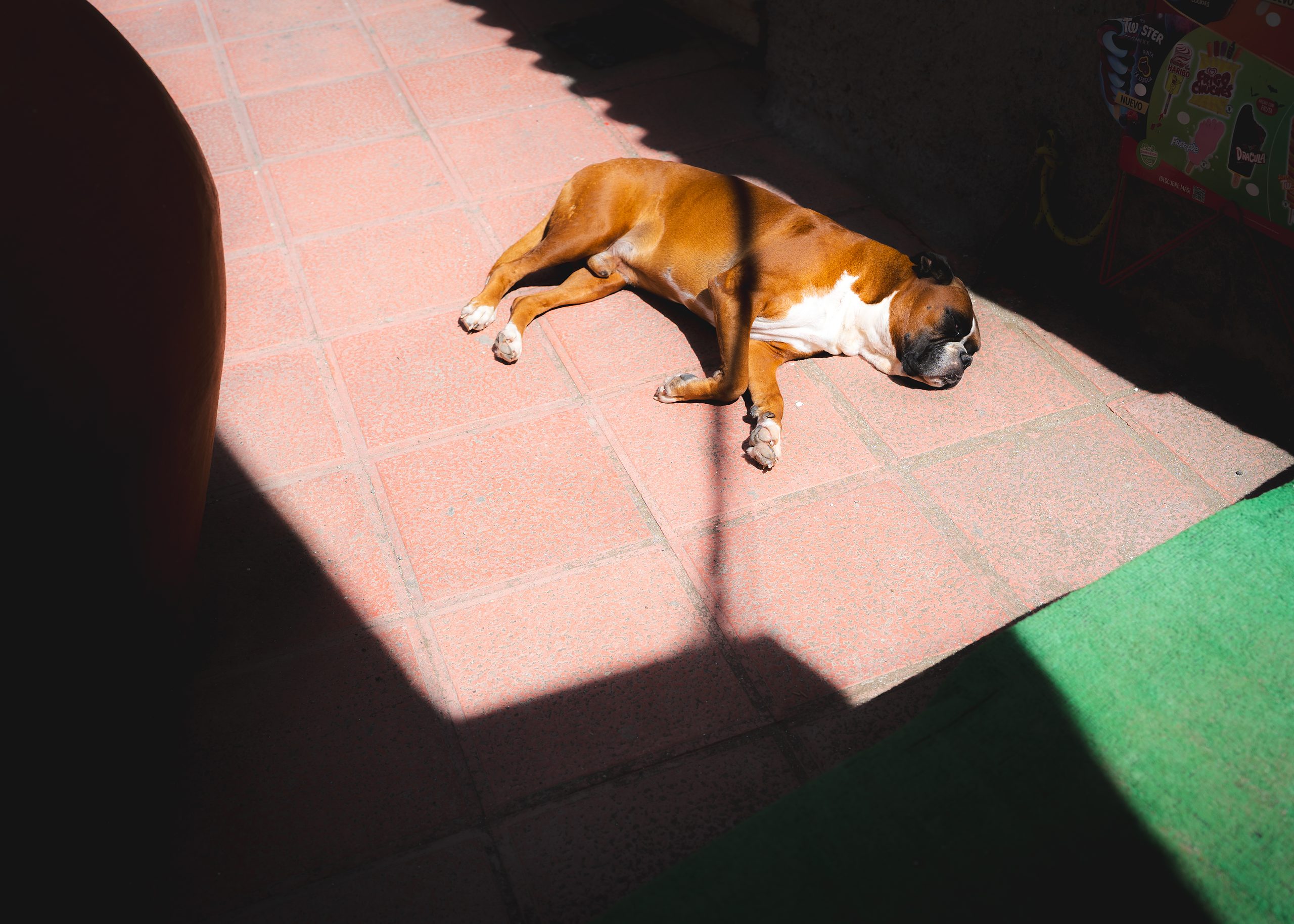 Gran Canaria