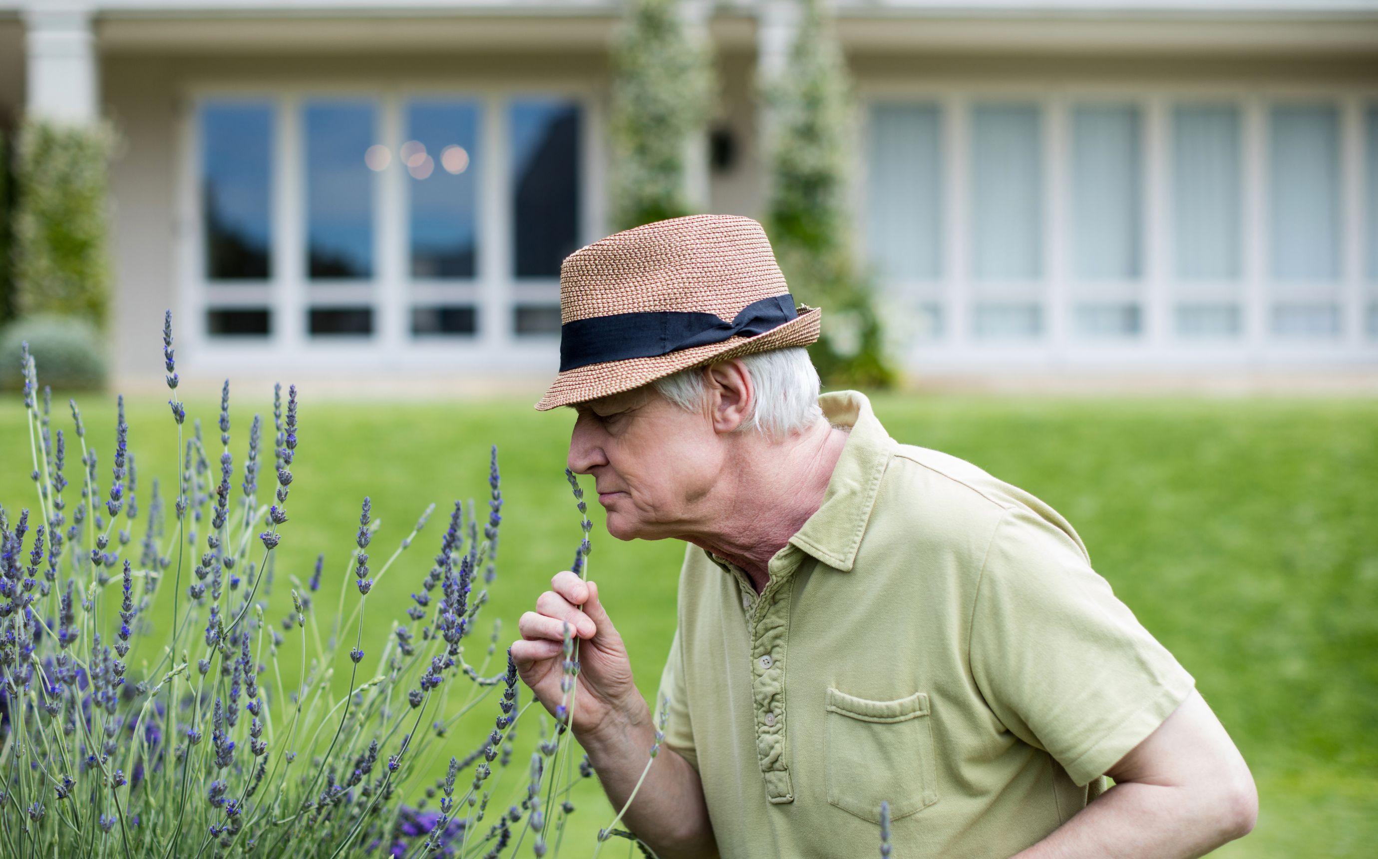 Szaglásvesztés Parkinson-kór esetén: nem motoros tünet