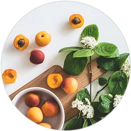 Treatment recommendation