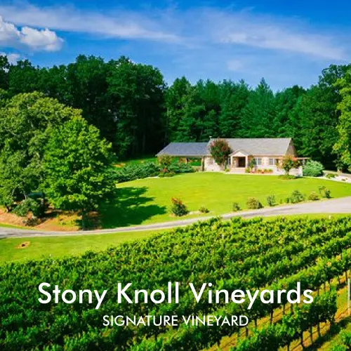 Stony Knoll Vineyards