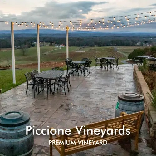 Outdoor seating area at Piccione Vineyards featuring covered pergola, wine barrels, and scenic vineyard views.