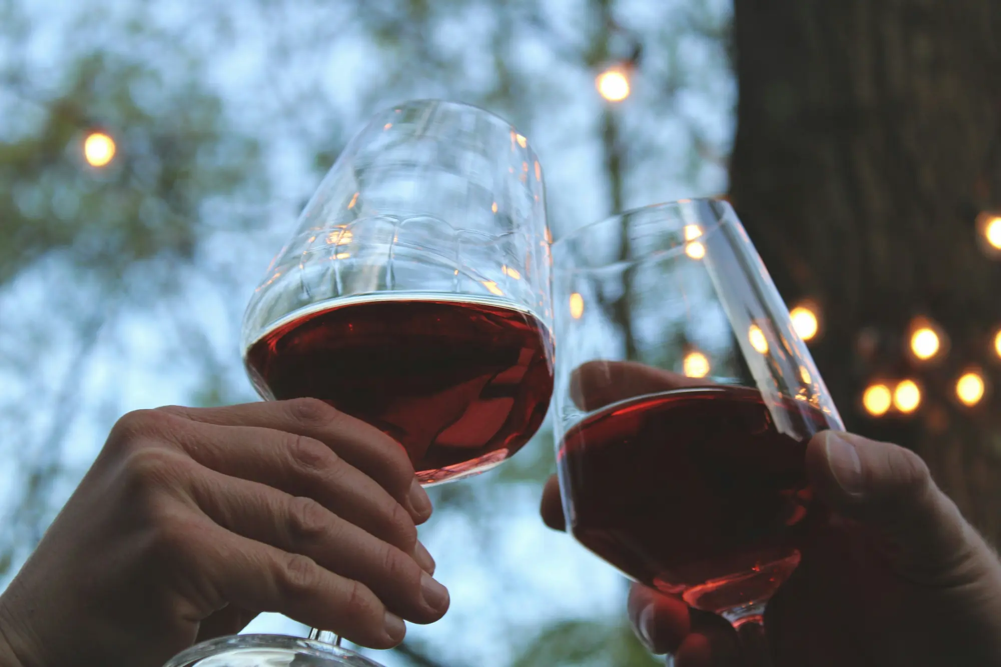 A couple toasts with wine glasses, smiling, against the backdrop of a vibrant tree, capturing a joyful occasion.
