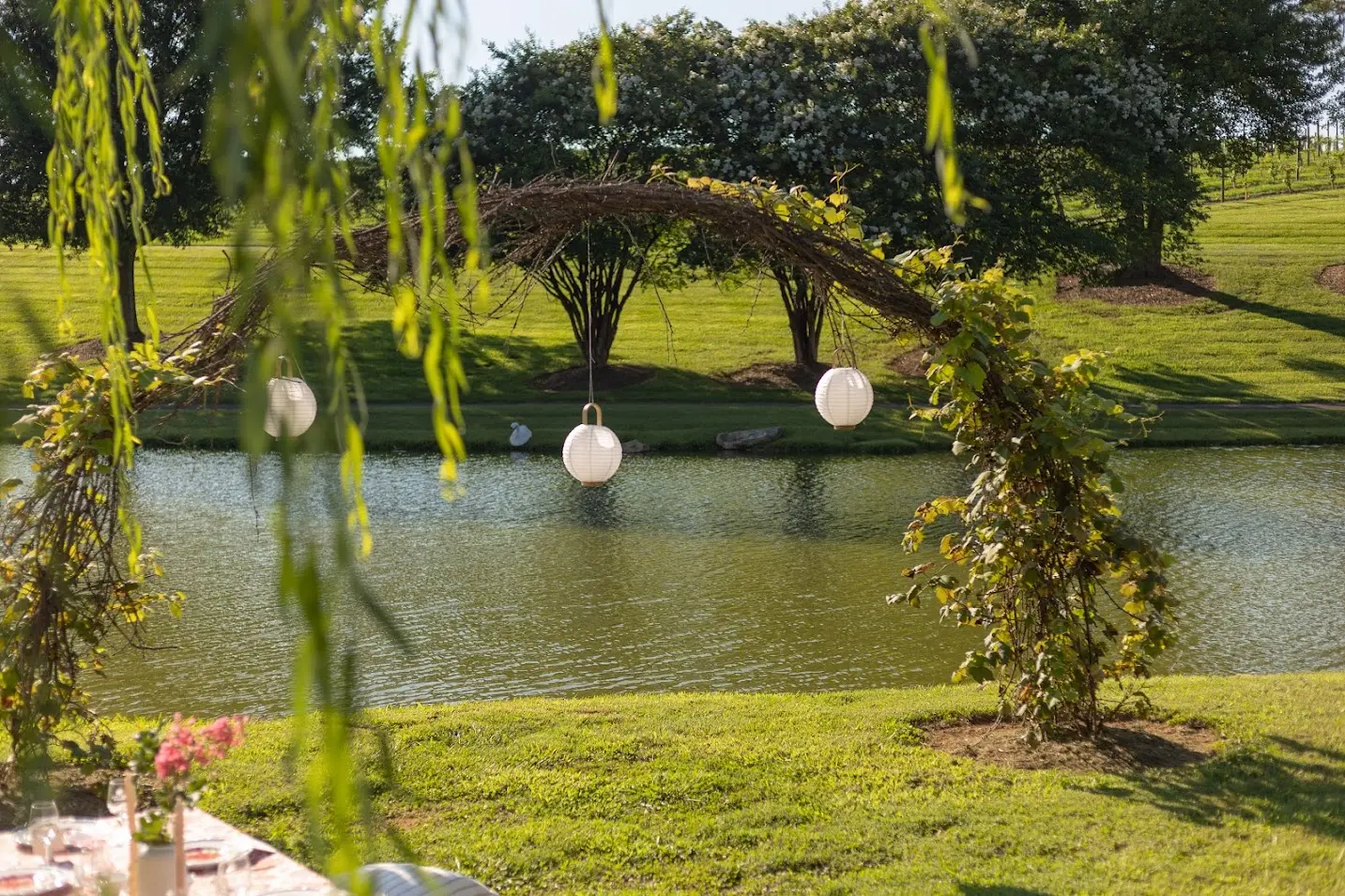 Scenic pond with willow tree and vineyard rows in the background at picnic site.