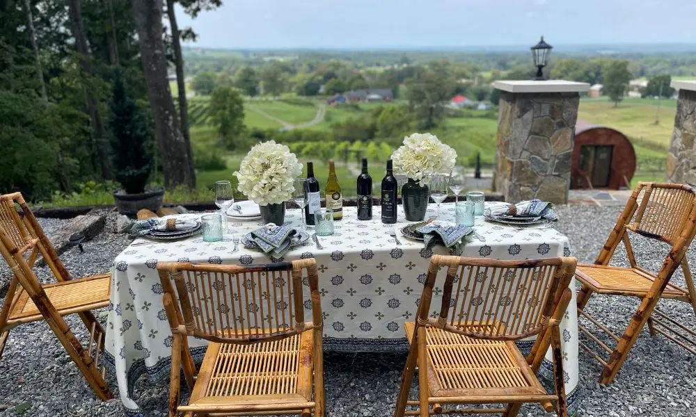 Guests seated at a vineyard picnic table with wine and charcuterie, overlooking the vineyard.