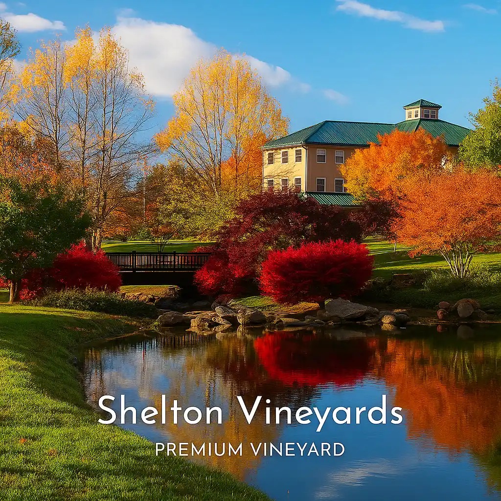 Shelton Vineyards