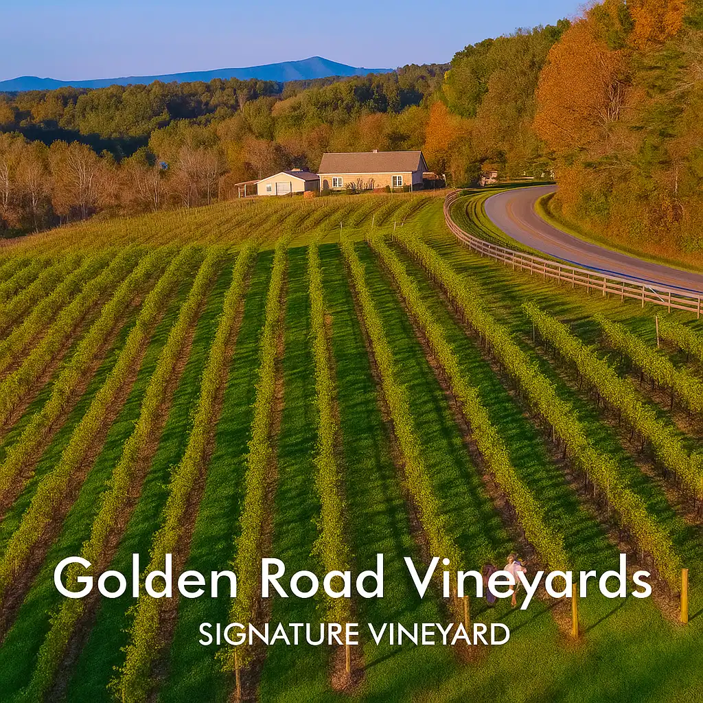 Golden Roads Vineyards