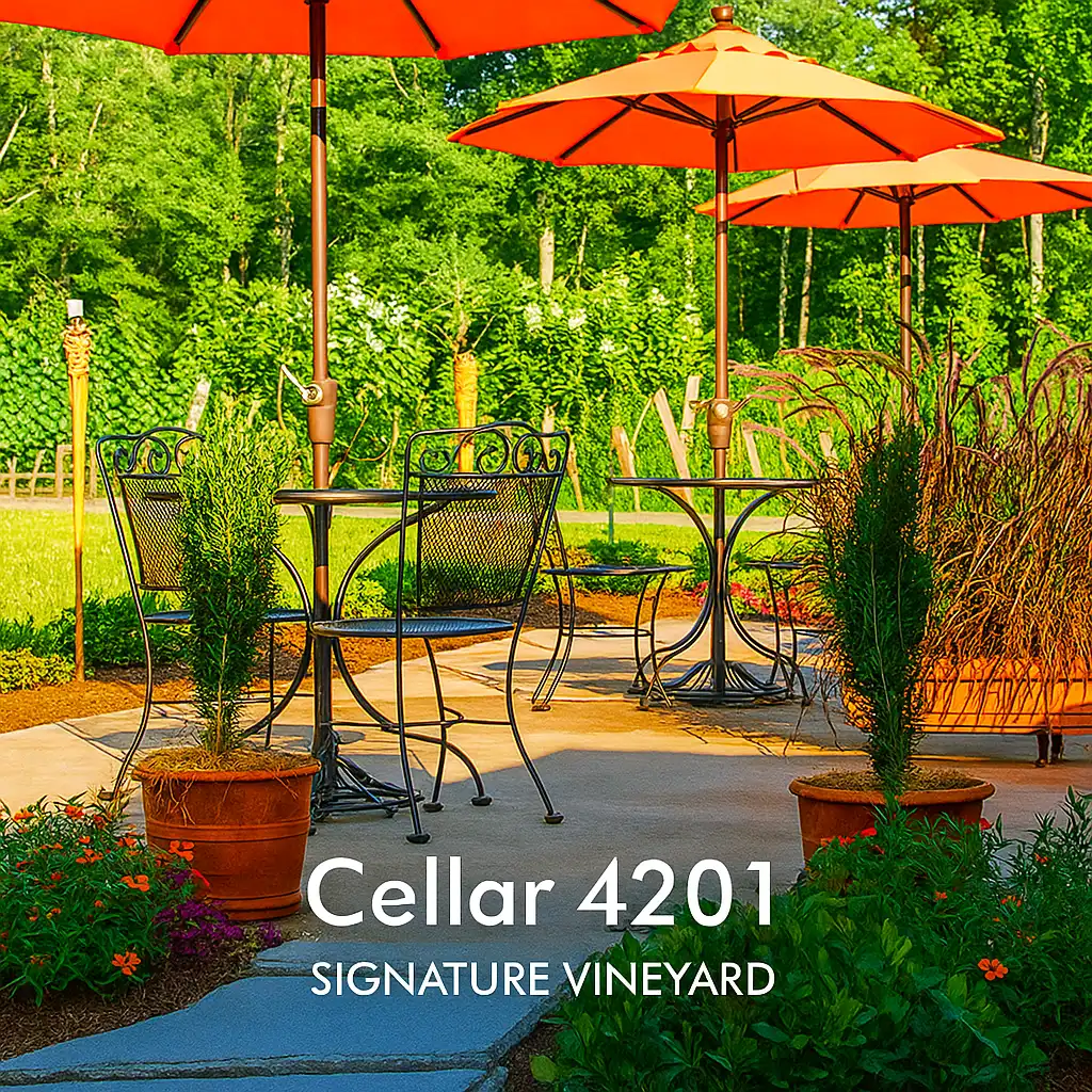 Cellar 4201